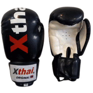 Gants de boxe XTHAI carbone