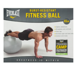 Fitness ball EVERLAST 65cm