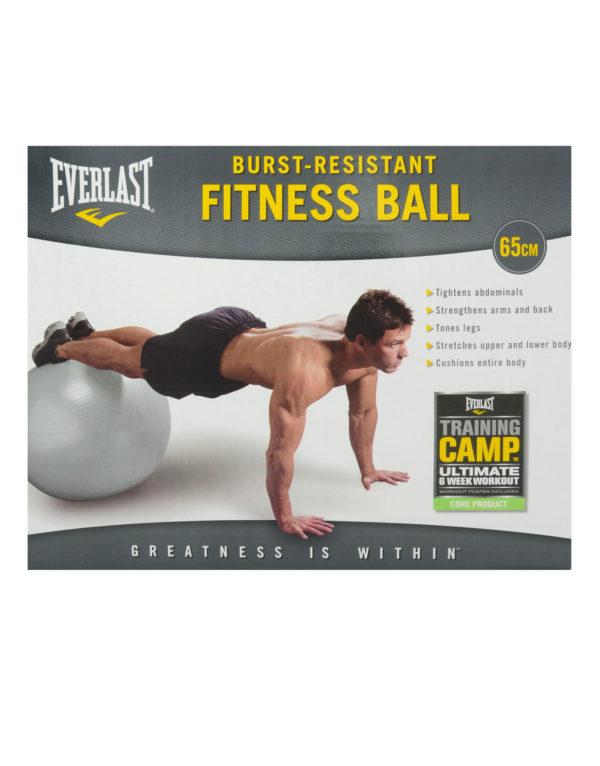 Fitness ball EVERLAST 65cm
